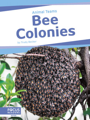 cover image of Bee Colonies